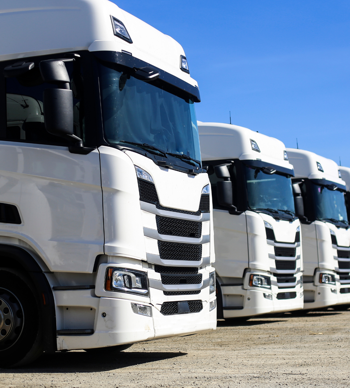 Untitled design (14)